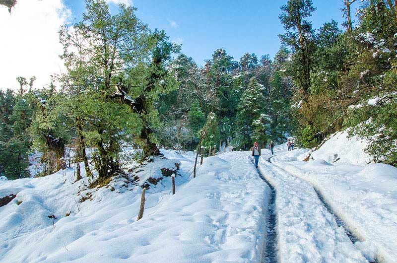 Chopta Travel Guide 2026: Everything First-Time Travellers Must Know
