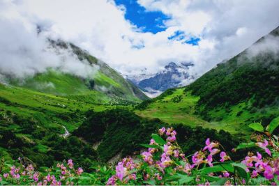 Best time to Visit Valley of Flowers
