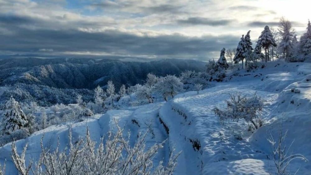 Mukteshwar Snowfall Places in Uttrakhand