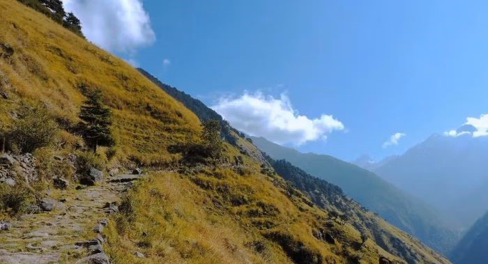 Madhyamaheshwar Trek 