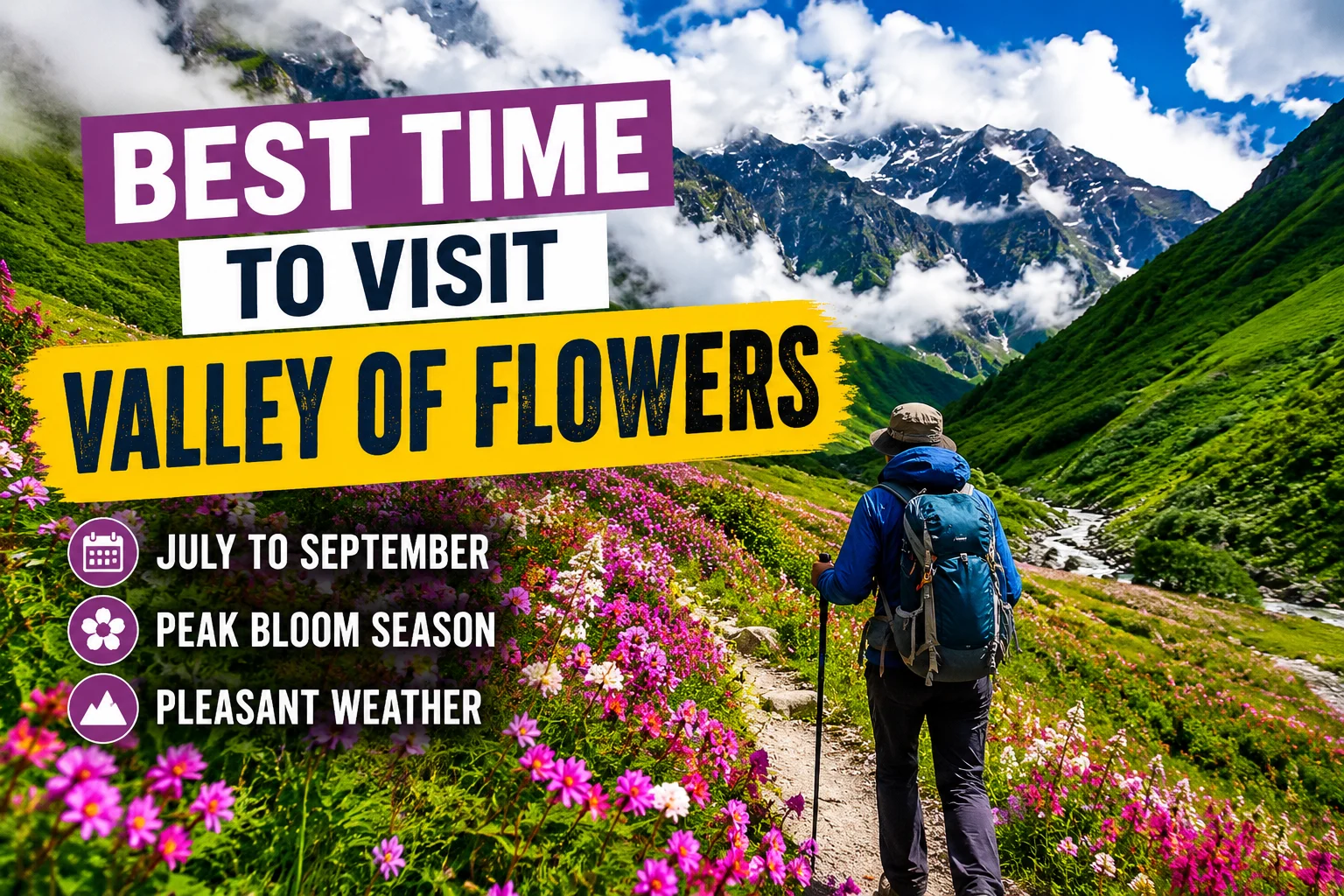 Best Time to Visit Valley of Flowers (Month Wise Guide)